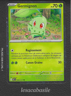 Carte Pokemon avec Slide card case individuel