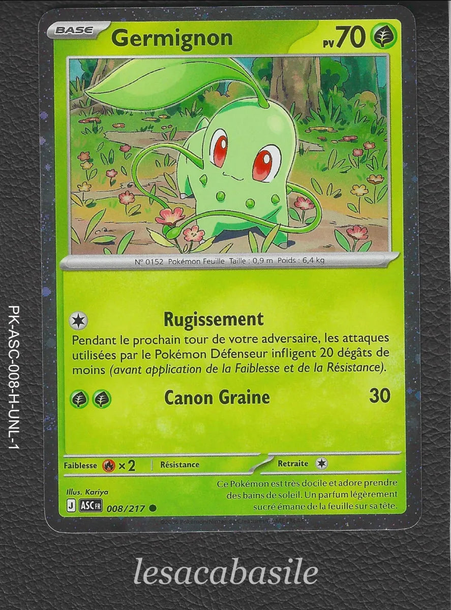 Carte Pokemon avec Slide card case individuel