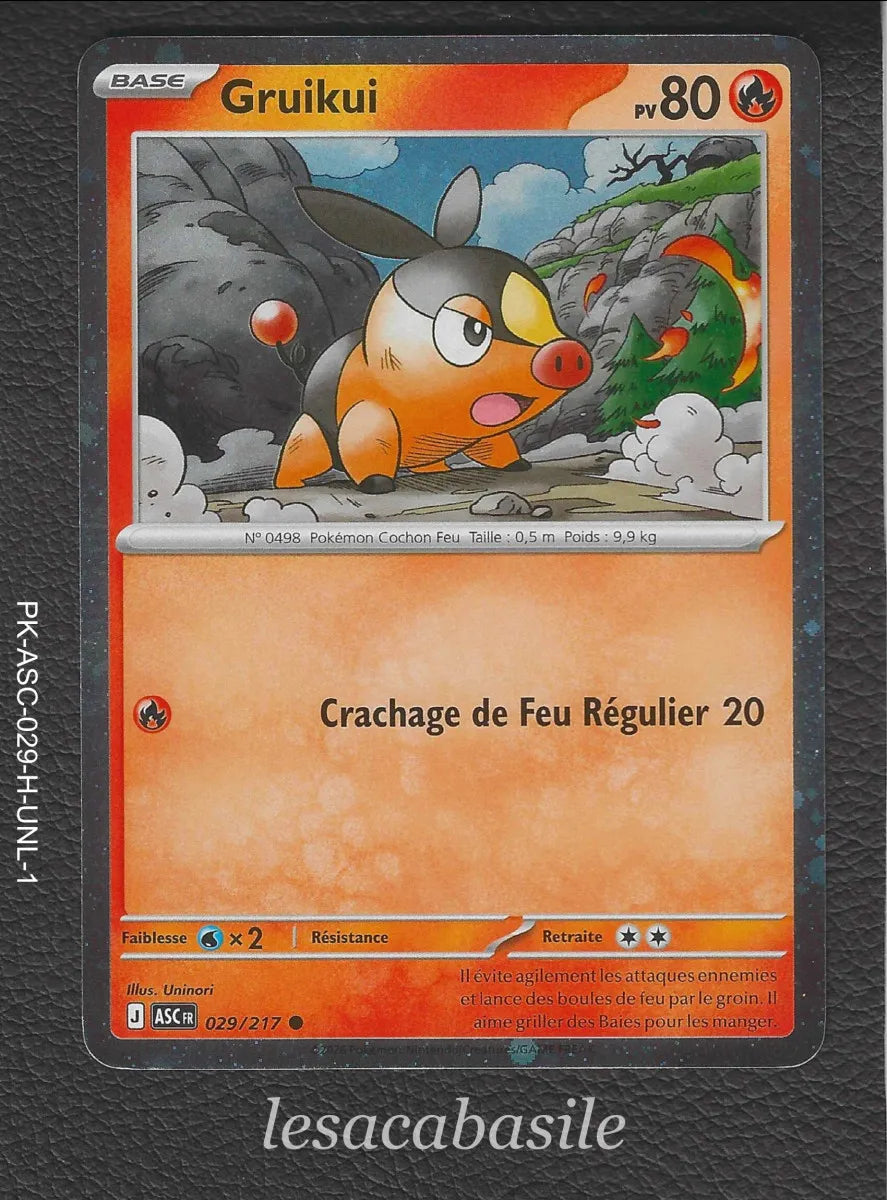 Carte Pokemon avec Slide card case individuel