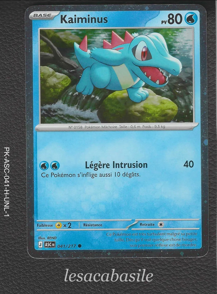 Carte Pokemon avec Slide card case individuel