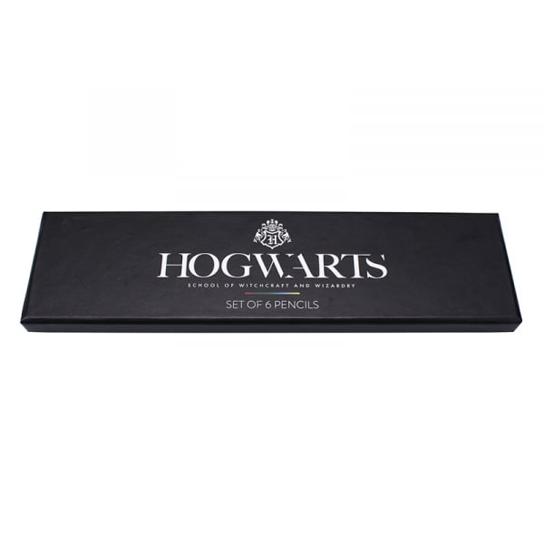 Harry Potter – Set de 6 Crayons House Pride