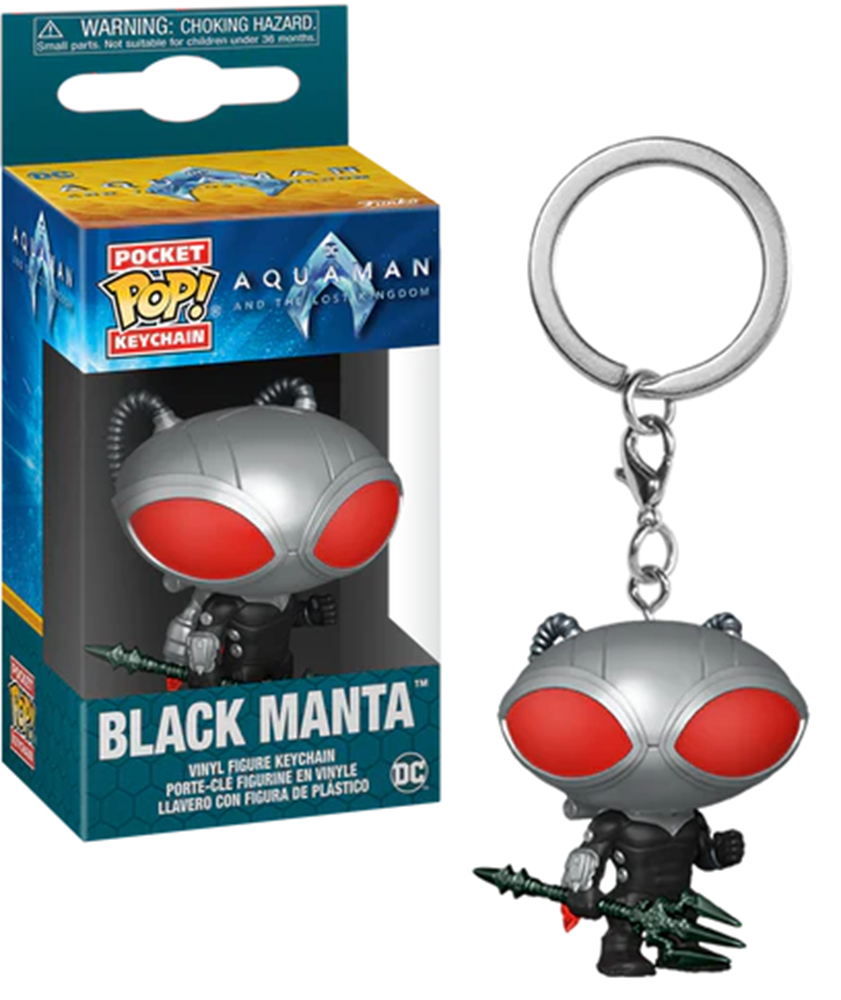 AQUAMAN AND THE LOST KINGDOM – Pocket Pop Keychains  Storm & Black Manta