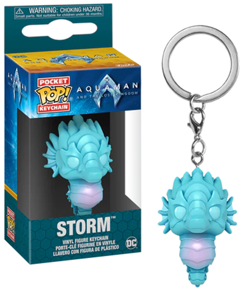 AQUAMAN AND THE LOST KINGDOM – Pocket Pop Keychains  Storm & Black Manta